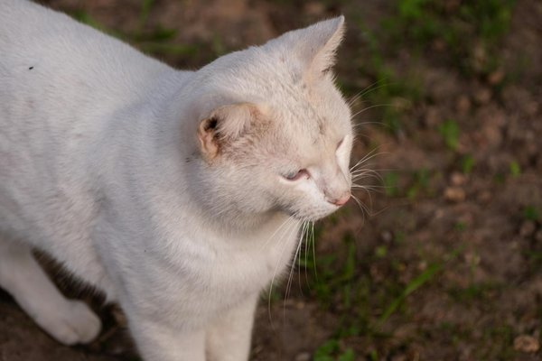 How Can British Women's Fashion Empower Confidence in Everyday Life?